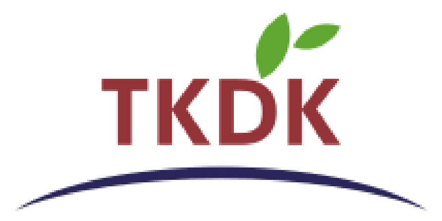 TDK